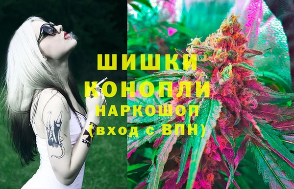 молекула духа Алексеевка
