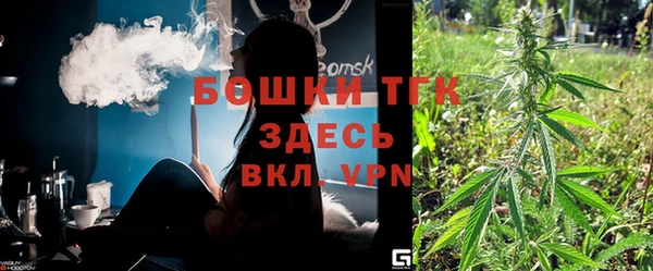 молекула духа Алексеевка
