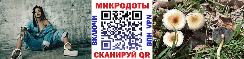 Галлюциногенные грибы Cubensis  Оханск 